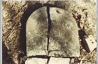 S.P.A. Chivers, Absalom Chivers Cemetery, 1980 (090-088-032)