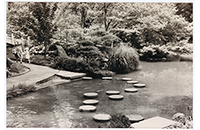 Fort Worth Japanese Garden 7.1, Stepping Stones, June 1986, Beth Collins (088-007-021)