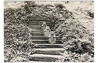 Fort Worth Japanese Garden 12.1, Three Wise Monkeys Statuary on Steps, June 1986, Beth Collins (088-007-021)