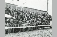 Horse Racing, Ross Downs