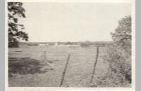 Riley Cemetery, Colleyville, 1984  090-073-080)