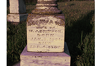 Louisa Brinson, Johnson Cemetery
