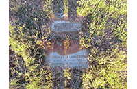 Thomas J. Johnson, Johnson Cemetery