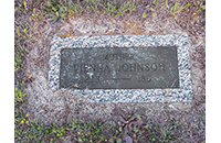 Vienna Johnson, Johnson Cemetery