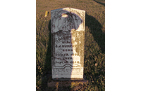Elizabeth J. Brinson, Johnson Cemetery
