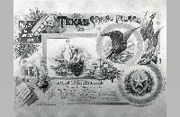 Texas Spring Palace invitation (090-090-090)