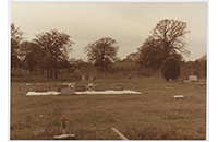 New Trinity Cemetery  (001)