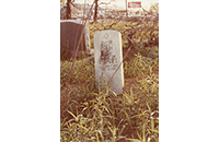 New Trinity Cemetery, David Lee Carey, WWII (001)
