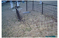 Polytechnic Cemetery 2.3, October 10, 2006 (010-998)