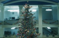 Christmas tree at First National Bank (006-014-302)