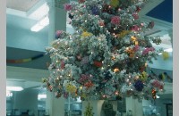 Christmas tree at First National Bank (006-014-302)