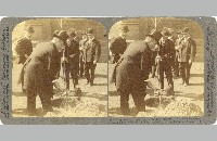 Teddy Roosevelt planting tree at Carnegie Library, stereoscope, 1905 (014-032-497)