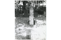 George W. Witten Headstone, 1841-1868 (FIC-012-998)