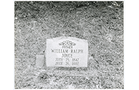 William Ralph Joyce Headstone, 1847-1902 (FIC-012-998)
