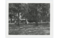 Witten Cemetery, William Ralph Joyce (001)