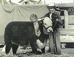 Oliver Grote with prize-winning steer