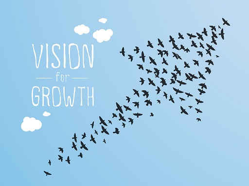 Vision for Growth