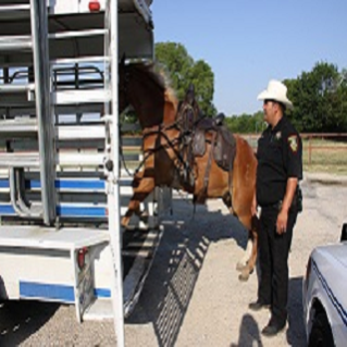 LEEP Deputy with Horse